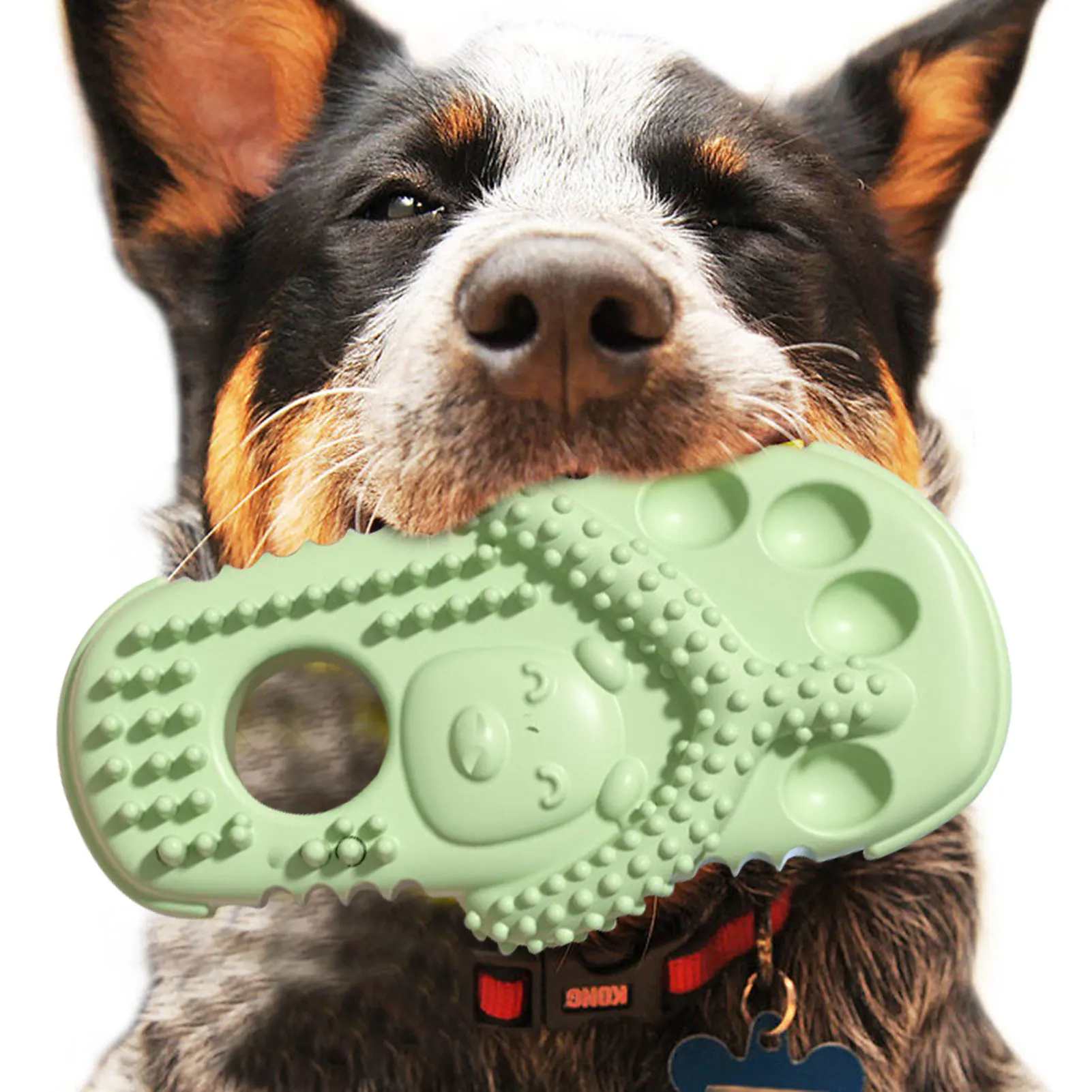 Slipper Shape Dog Chew Toys TPR Dog Teething Toys Interactive Puppy Accessories Gifts Novelty Dog Interactive Toys For Boredom