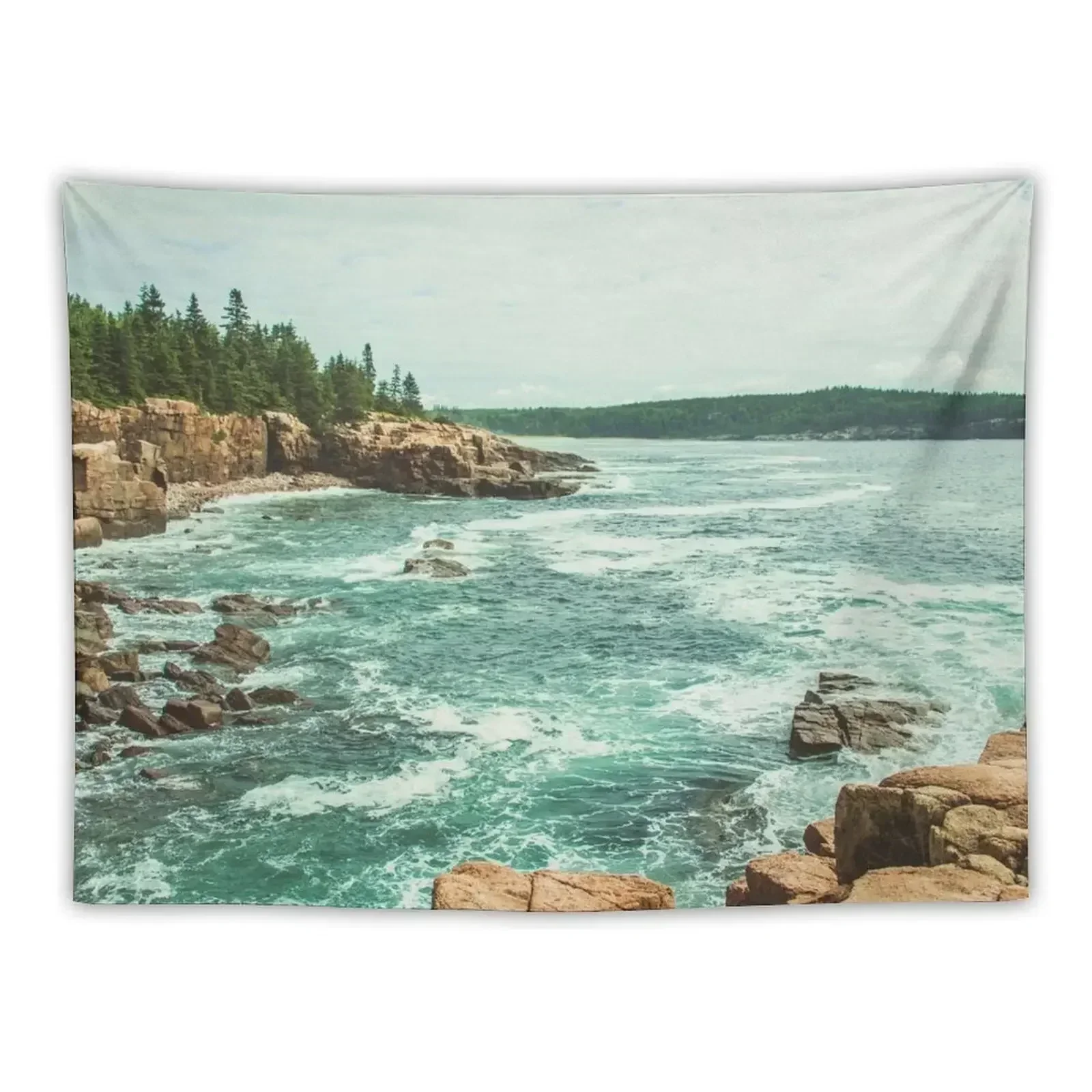 Acadia National Park Seashore II Tapestry Custom Aesthetic Room Decoration Room Design Wall Mural Tapestry