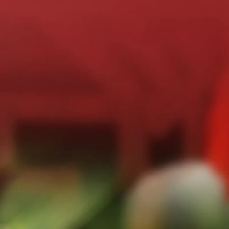 Tu New 1PC Dollhous…