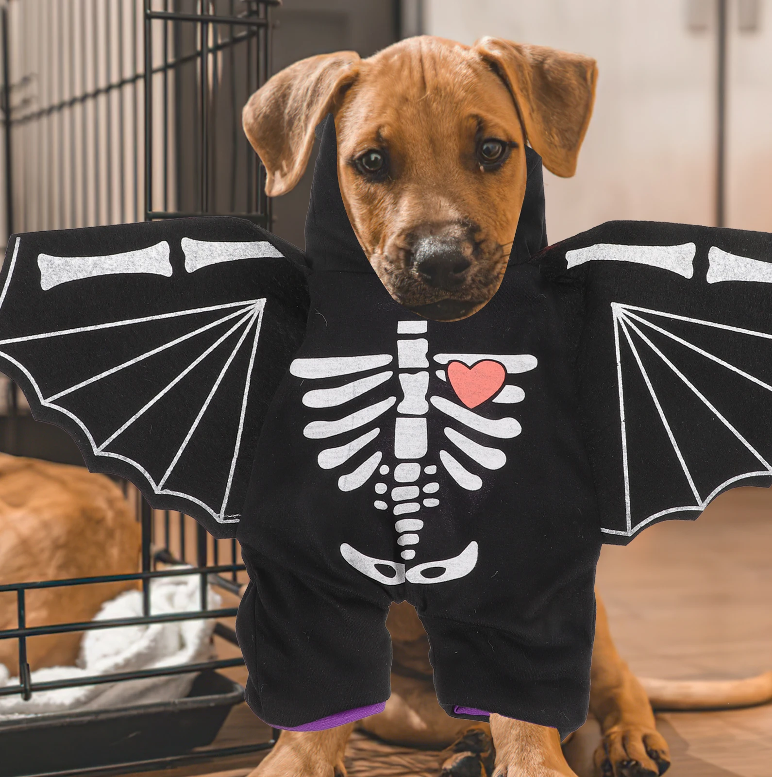

s Bat Transformation Costume for Small Dog Cat Halloween Party L Size Pet Clothes Comfortable Outfit Cosplay Clothing for Pets