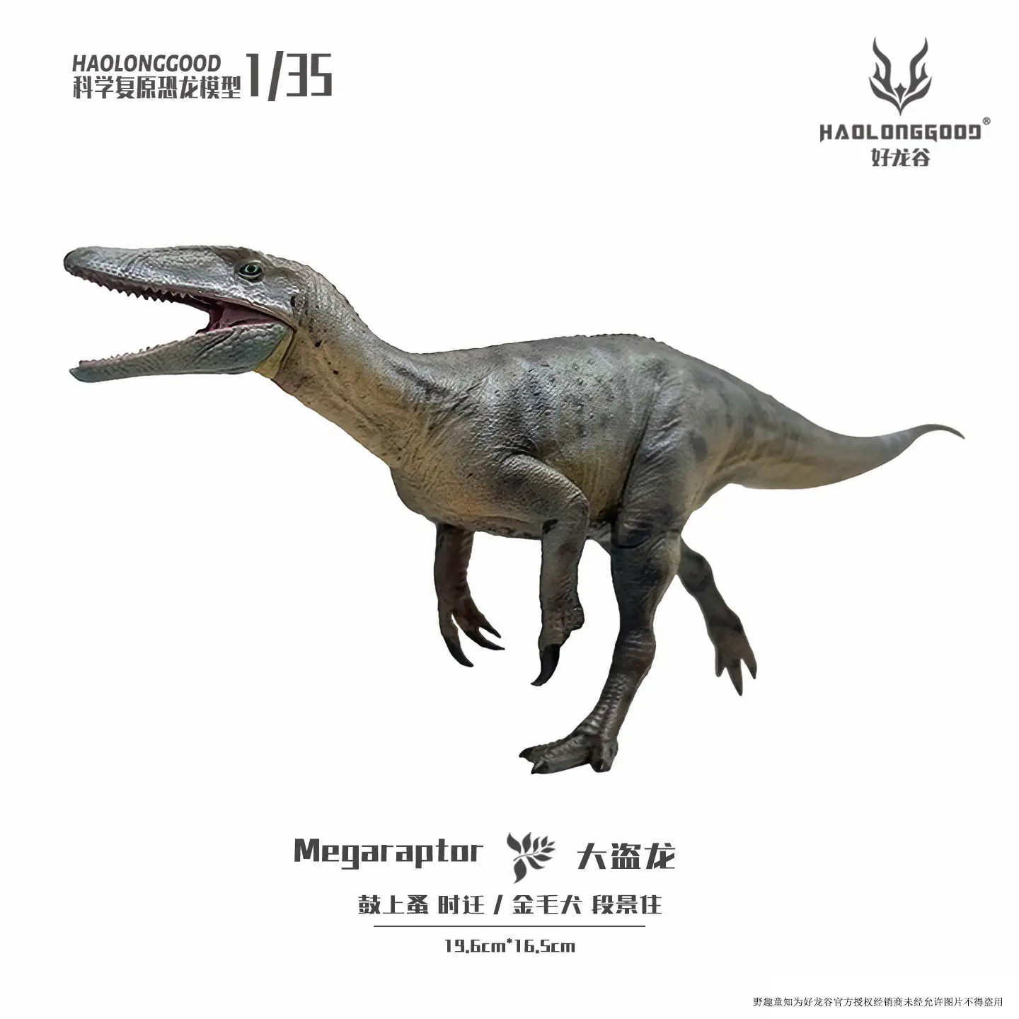 Haolonggood Megaraptor Prehistoric Dinosaur Model 1 35 Scale Scientific Restoration Collectible Gift For Adult Collectors