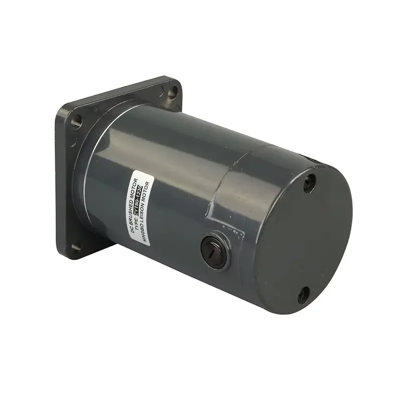 for 80zyt High Torque DC Electric Motor 100W 200W 300W 12V 24V 3000rpm 1nm