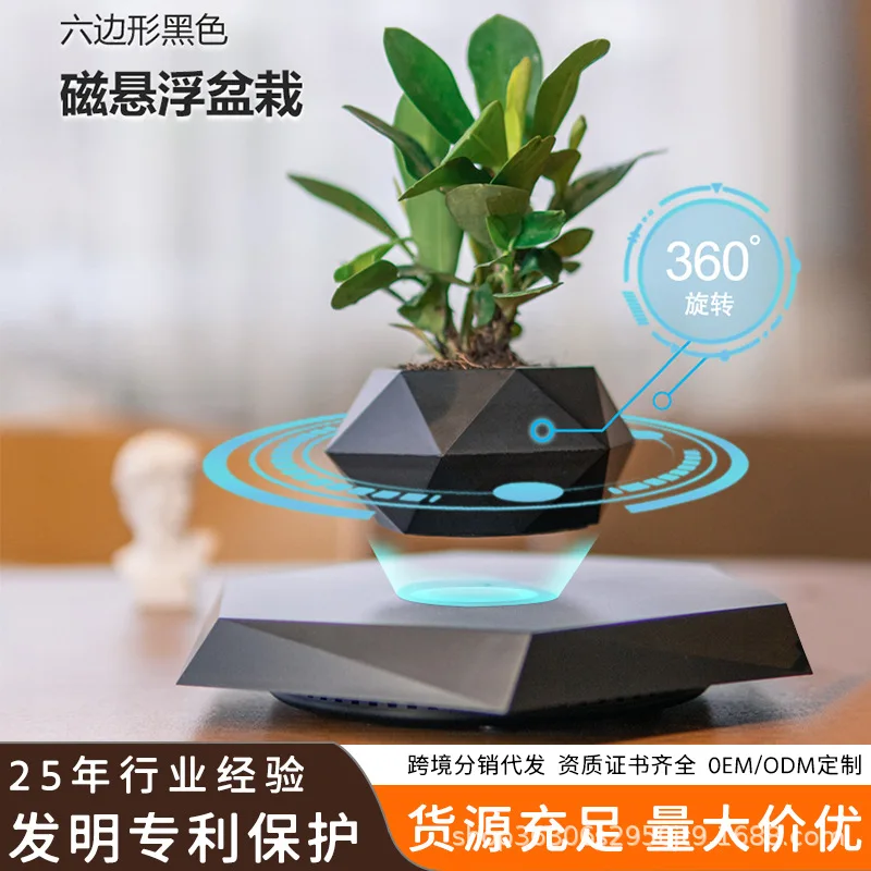 Maglev potted plants creative bonsai crafts gifts gifts new strange home ornaments wholesale source factory