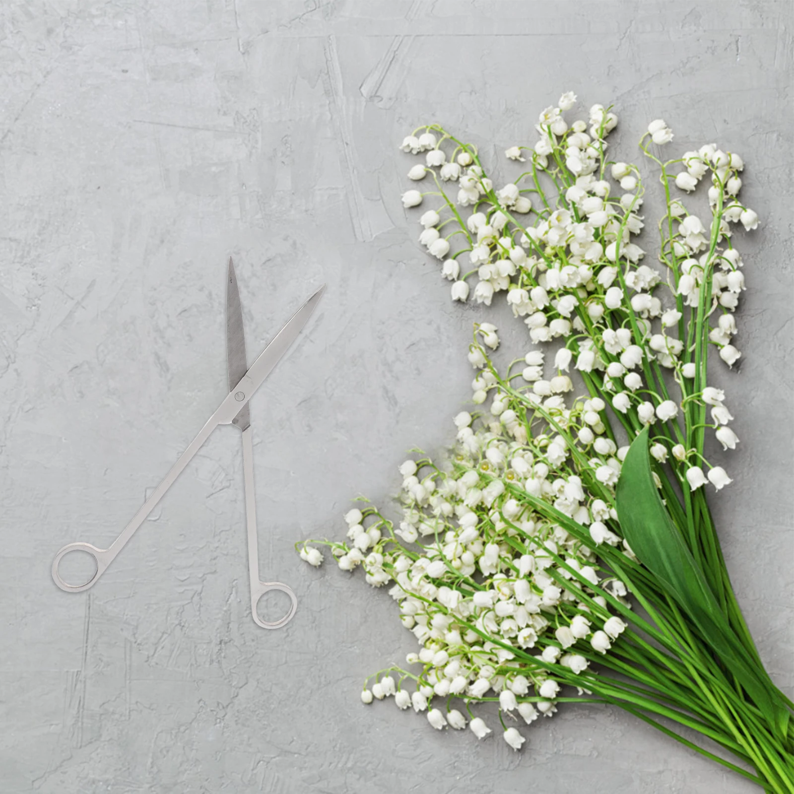 

Water Plant Scissors Stainless Steel Long Handle Mirror Polished for Smooth Even Cutting Ergonomic Design Long Handle Scissors