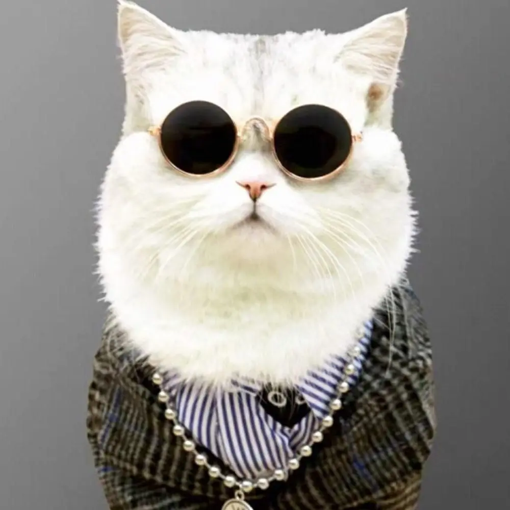 

Vintage Multicolor Photos Props Trend Toys For Little Dog Cat Pet Sunglasses Reflection Glasses Cat Glasses Eye-wear