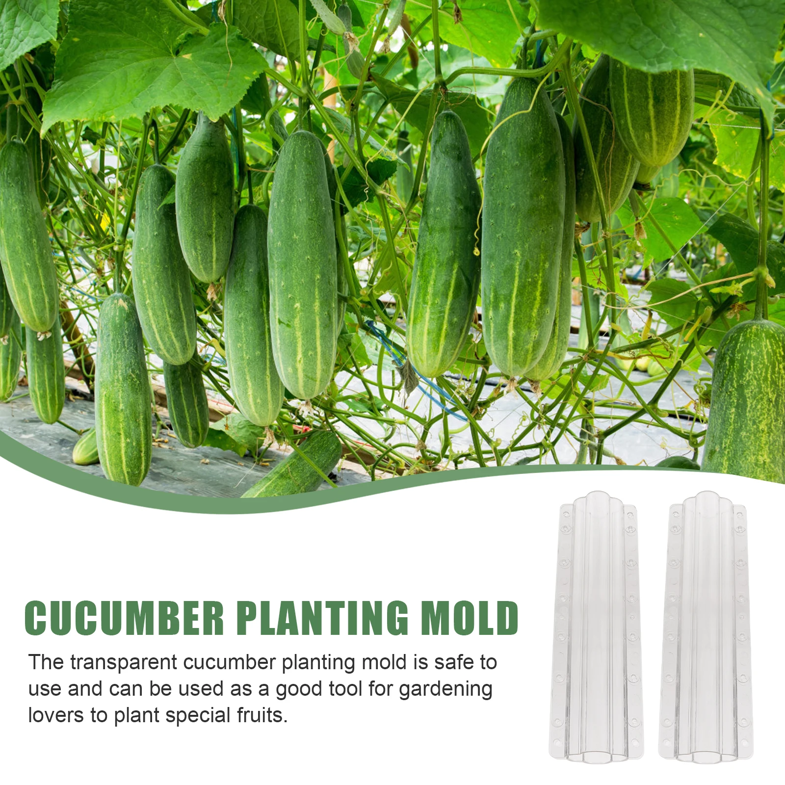 

2Pcs Cucumber Molds High-Class Material Safe Lightweight Fruit Shaping Accessories for Gardening Lovers Gift Mold Growing Kit