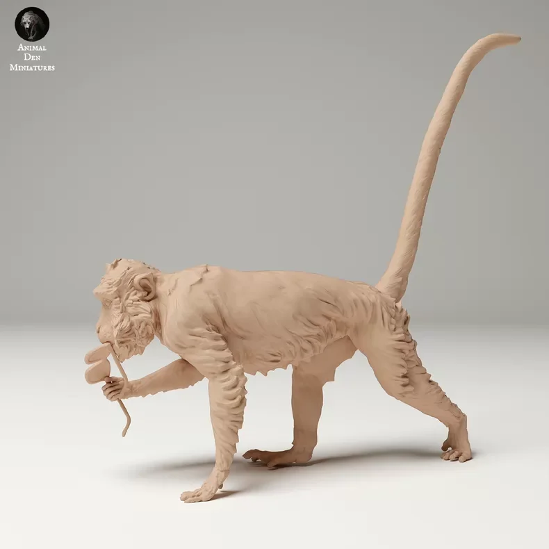 

Модель животного Macaca fascicularis (обезьяна-папуга) 1/35, 15 см, современная, на заказ, 3D-печать