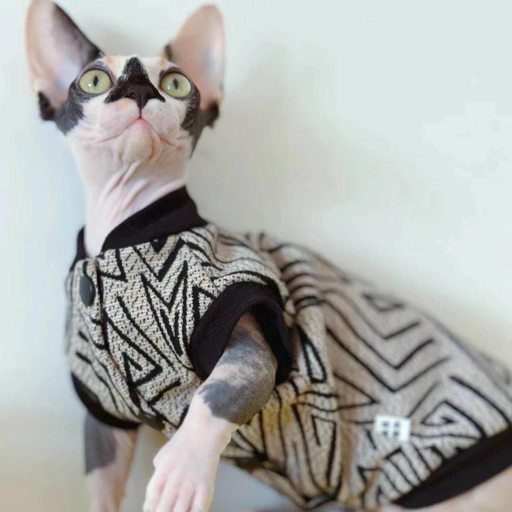 Sphynx Cat Warm Jacket in Winter Hairless Cat Clothes Cotton Baseball Uniform For Devon Rex Cartoon Coat for Kittens small Dogs