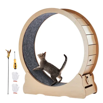 SucceBuy Wooden Cat Exercise Wheel 1