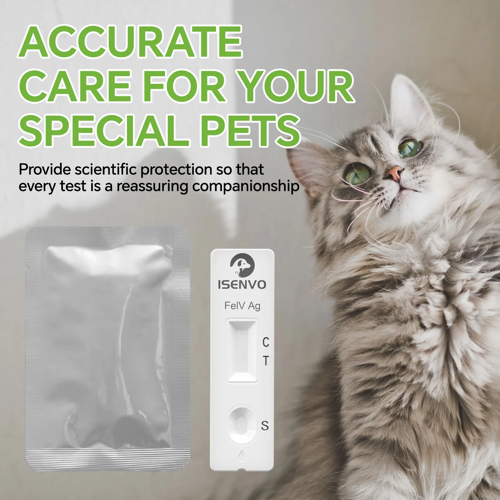FeLV Feline Leukemia Rapid Test Kit 2 5 10 Pcs, Home Testing for Cats Kittens, Pet Health Check