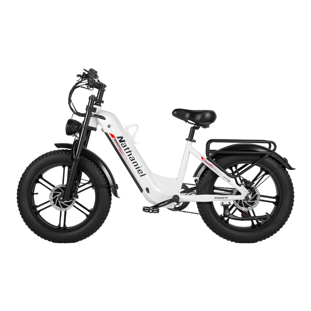 Dual Drive Integrated Wheel E-Bike 2000W 20x4.0 Tire 48V20AH for Urban Commuting & Off-Road Snow/Sand