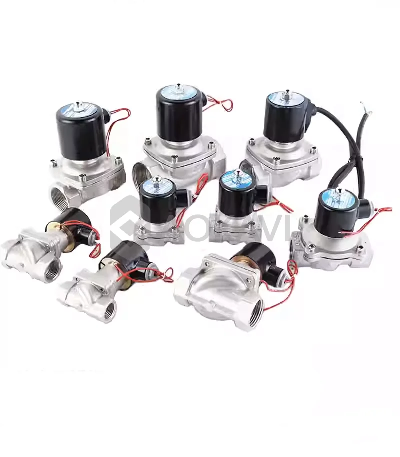 Industrial Stainless Steel 304 316 Solenoid Valve AC/DC 12V 24V 110V 220V Electromagnetic Valve