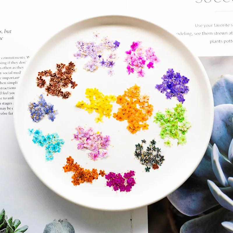 24 Stück, gepresste blaue Trockenblumen aus Spitze für DIY-Harzschmuck, Lesezeichen, Grußkarten, Scrapbooking, Aromatherapie, Kerzen, Bastelzubehör – Detail 4