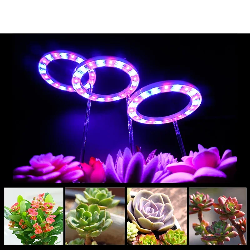 LED melek yüzük büyümek işık DC 5V USB fitolamp bitkiler için tam spektrum kapalı bitki sera fidan ev çiçek için lambalar