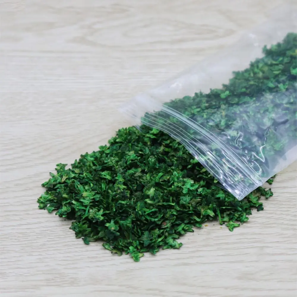 New DIY Micro Landscape Leaves Model Wooden High-fidelity Grass Tufts Accessories Miniature Leaf Teenager