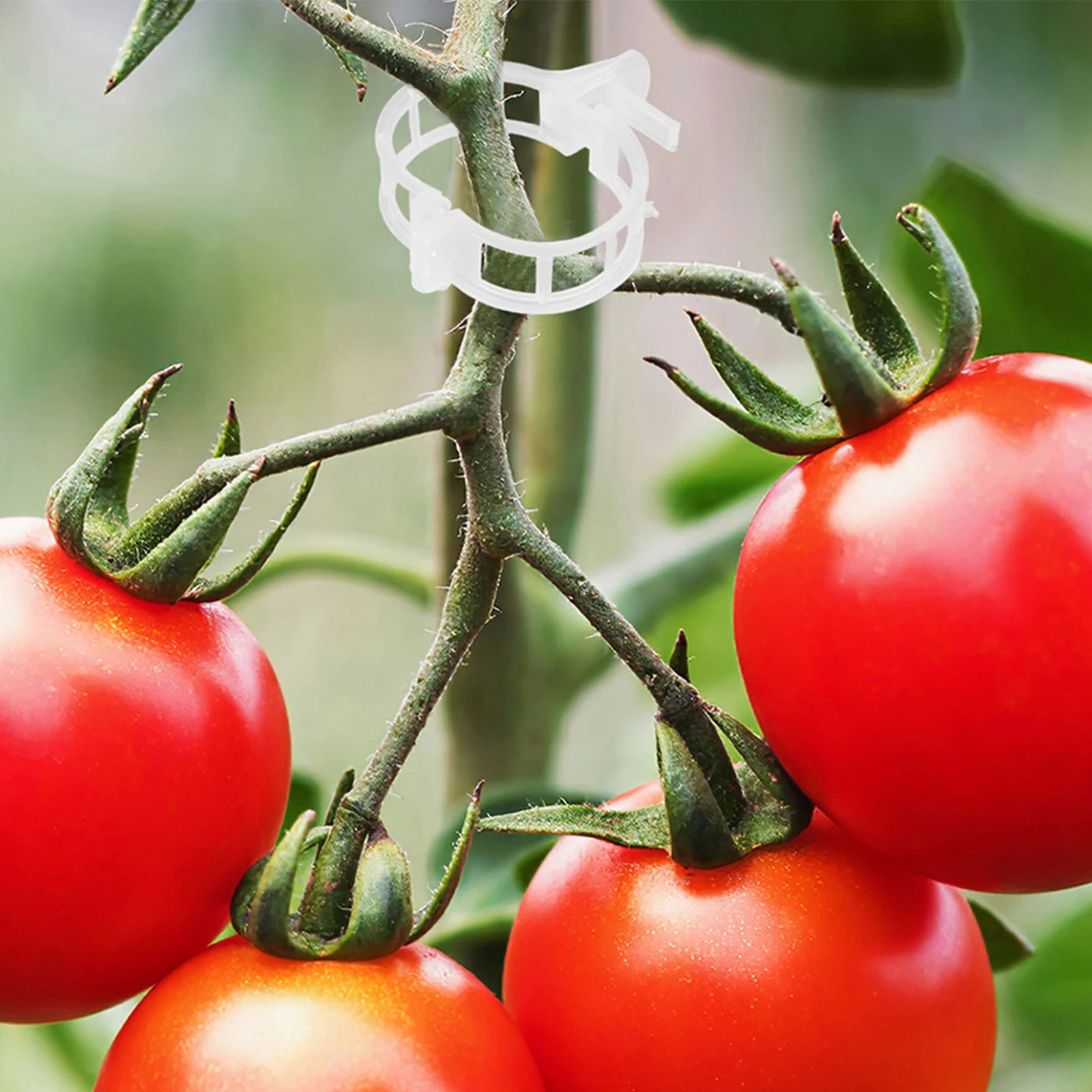 

400Pcs Vegetable Plant Clips Plastic Trellis Support for Tomato Cucumber Vines - Reusable Weather Resistant Garden Stem Fixing