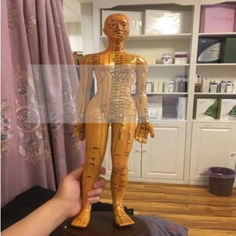 Female Lettering Point Mini Body Mannequin, Acupuncture, Medical Research, Massage, Reflex Zone Teaching Model, C518, 35cm