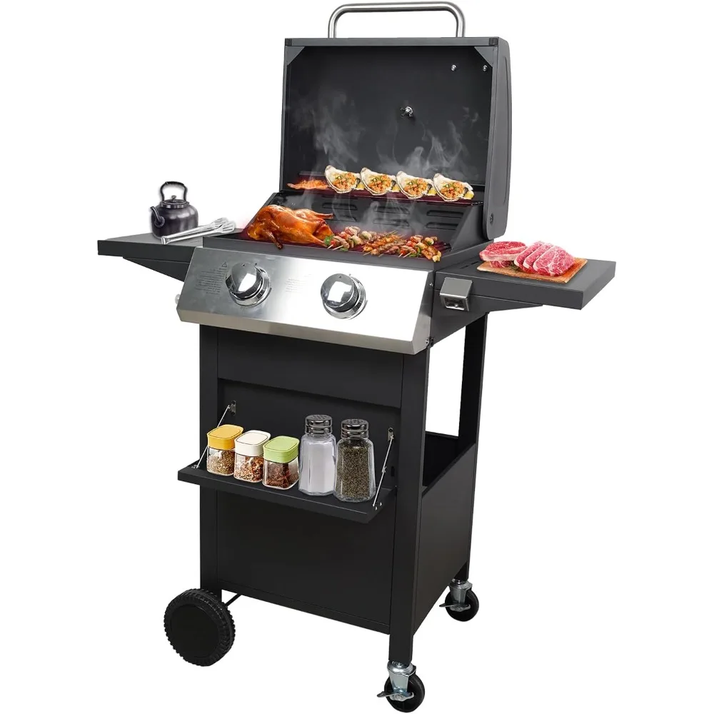 

2 Burners Portable BBQ Gas Grill, 20000 BTU Small Camping Barbecue Propane Grills Outdoor Cooking, Built-in Thermometer Stainles