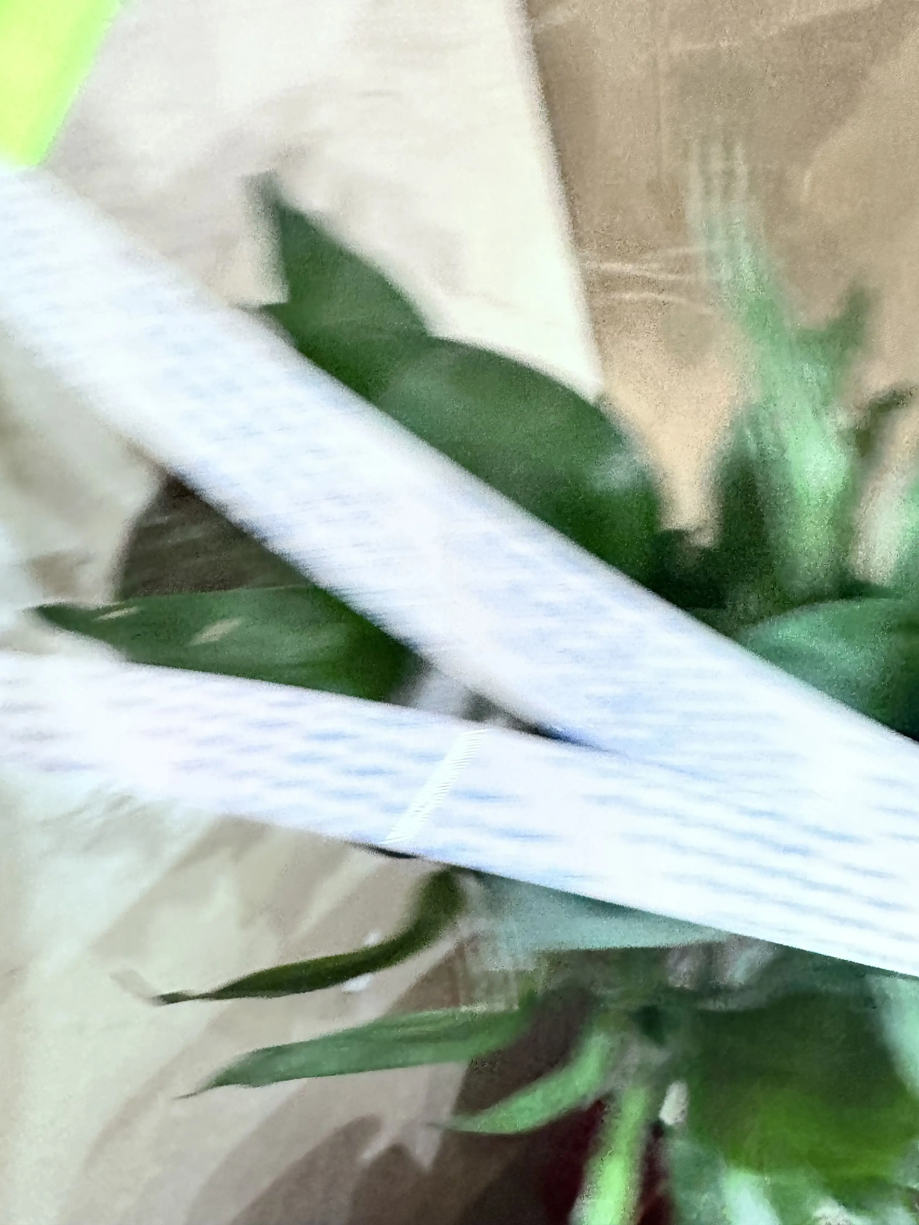 CQ893-67001 Trailin…