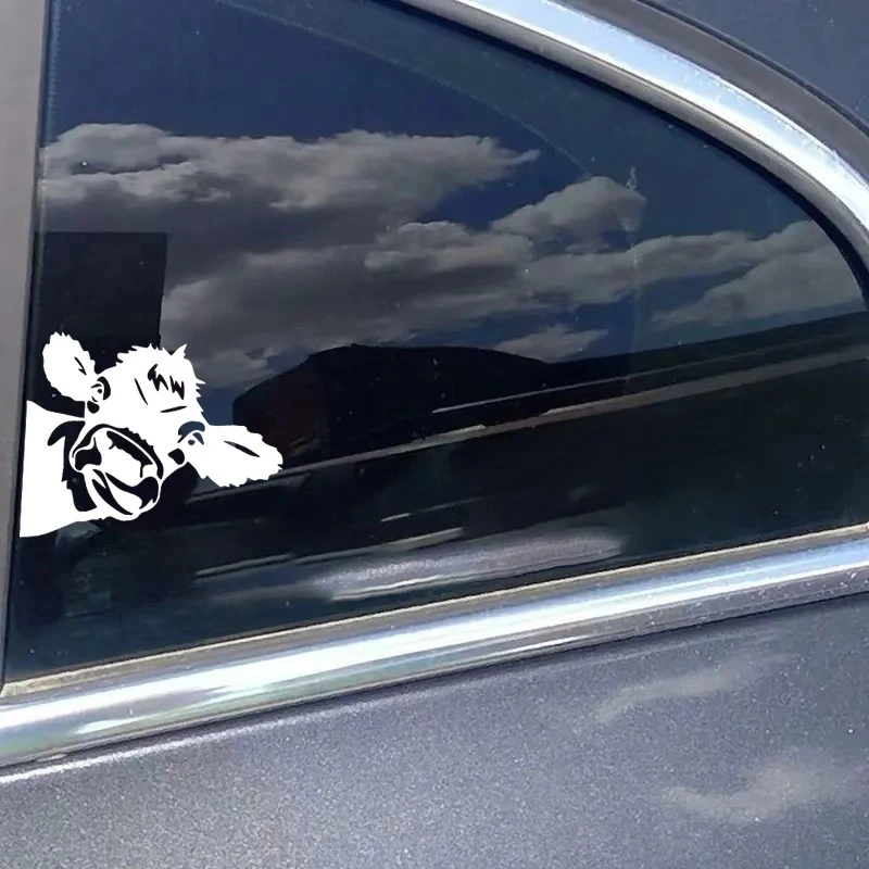 

Mug Sticker, Made of Premium Outdoor Grade Vinyl Piece Peek Heifer Sticker, Car/Window Sticker * Thermos Cup Sticker