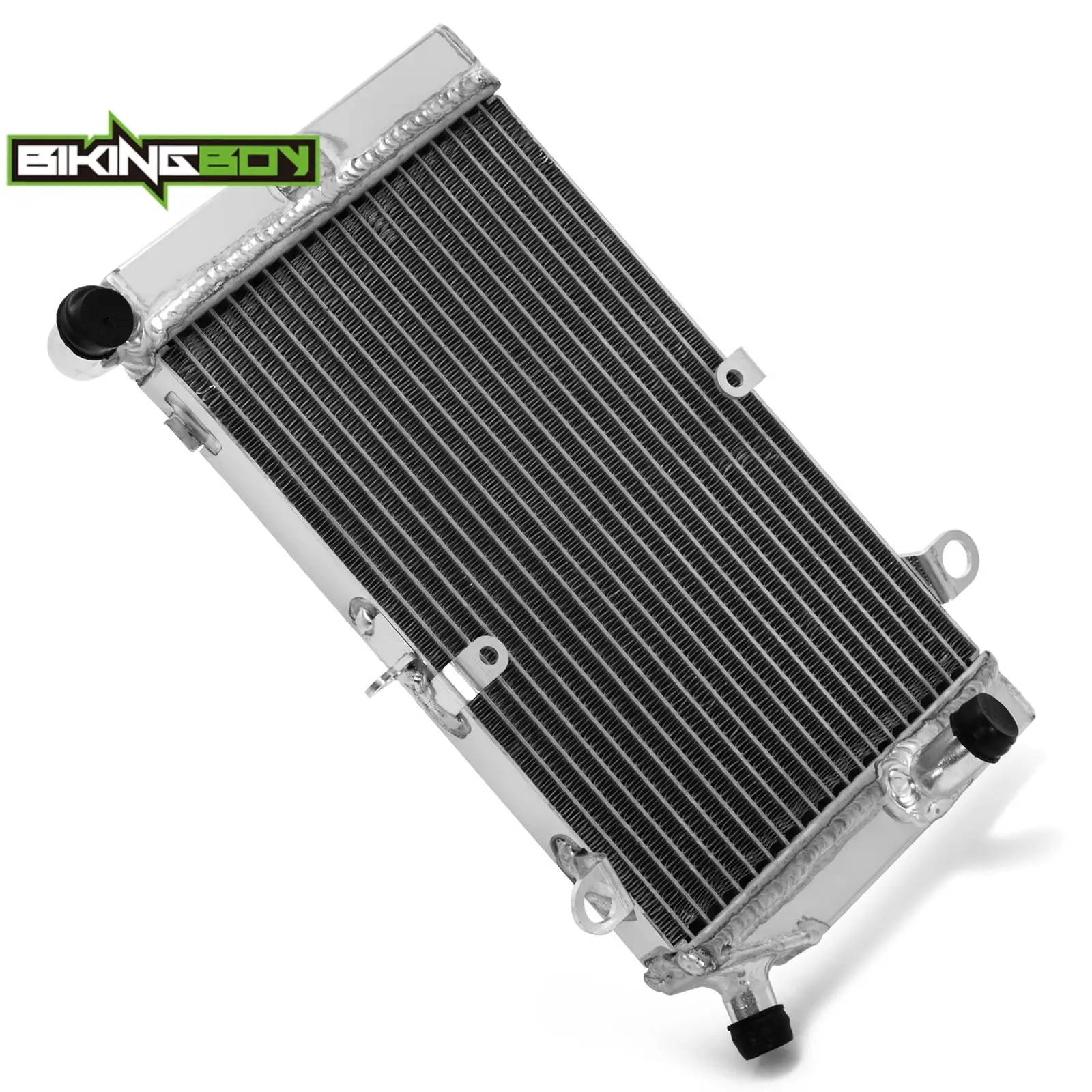 BIKINGBOY For Honda FSC 600 02 03 04 05 06 07 08 09 10 11 12 13 FSC 400 2002-2004 Engine Radiator Cooling Water Cooler Aluminium