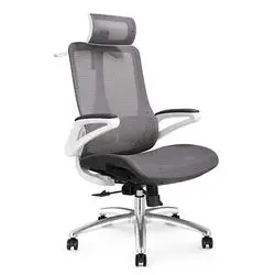

Ergonomic Lumbar Support Cushion Special Mesh Height Adjustable Multifunctional Office Chair With Hanger