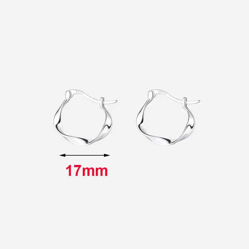 Real 925 Sterling Silver Mobius Round Hoop Earrings For Women Party Classic Fine Jewelry Geometric Accessories