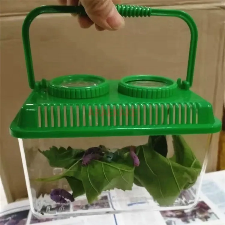 Silkworm Baby Observation Box Handheld Breeding Box Silkworm Villa Observation House Student Silkworm Diary Box