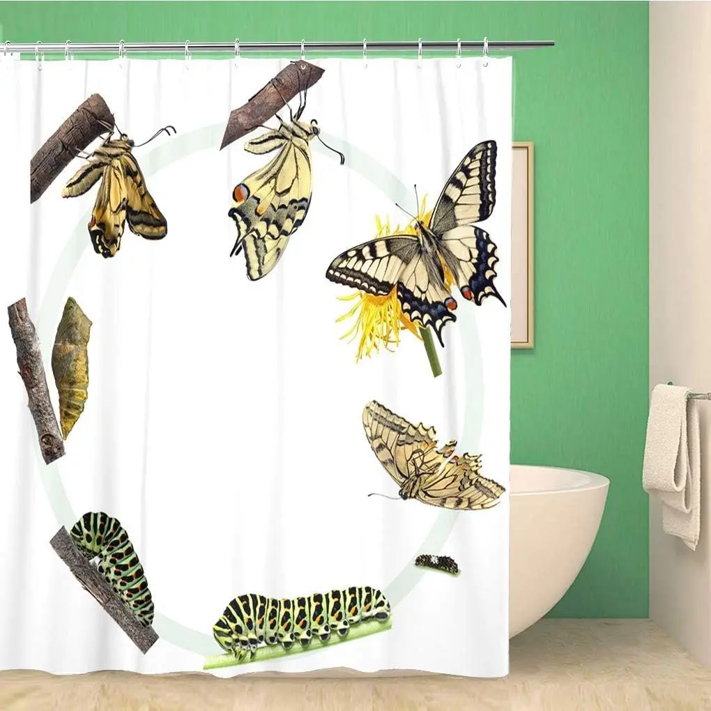 1Pc Luo Wenji Butte… - image