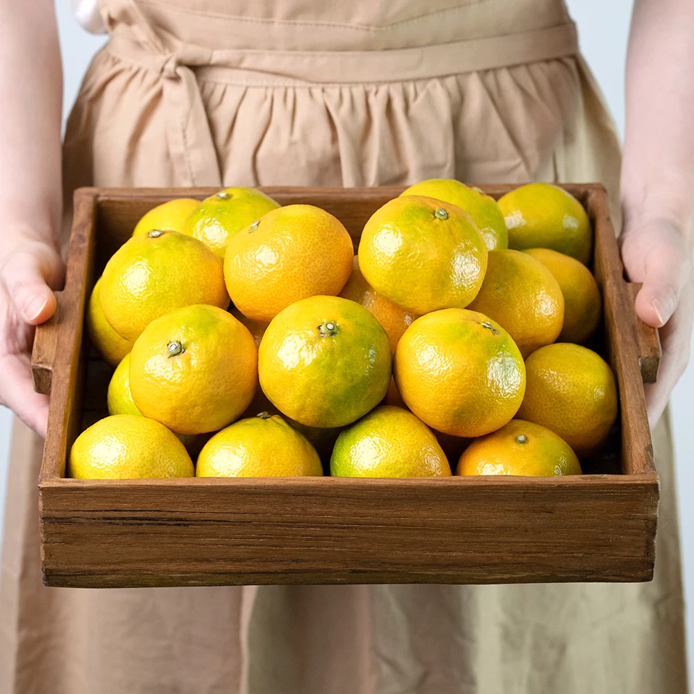 سانجي بلس جيجو اليوسفي المفتوحة الميدانية فواكه الحمضيات المفتوحة 3 كجم 5 كجم 10 كجم #2