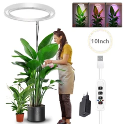 Plant Grow Light LED Growing Lamp Full Spectrum for Indoor Plant 10'' Height Adjustable Dimmable Plant Light with On/Off Timer