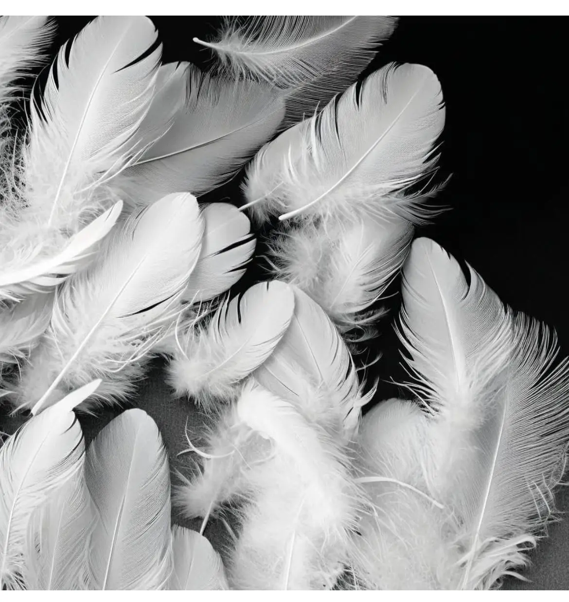 Plumas de plumas de ganso naturales de 5-8cm para manualidades de pluma DIY, fiesta, vestido de boda, sombrero, pendientes, ramo, accesorios de decoración de mesa