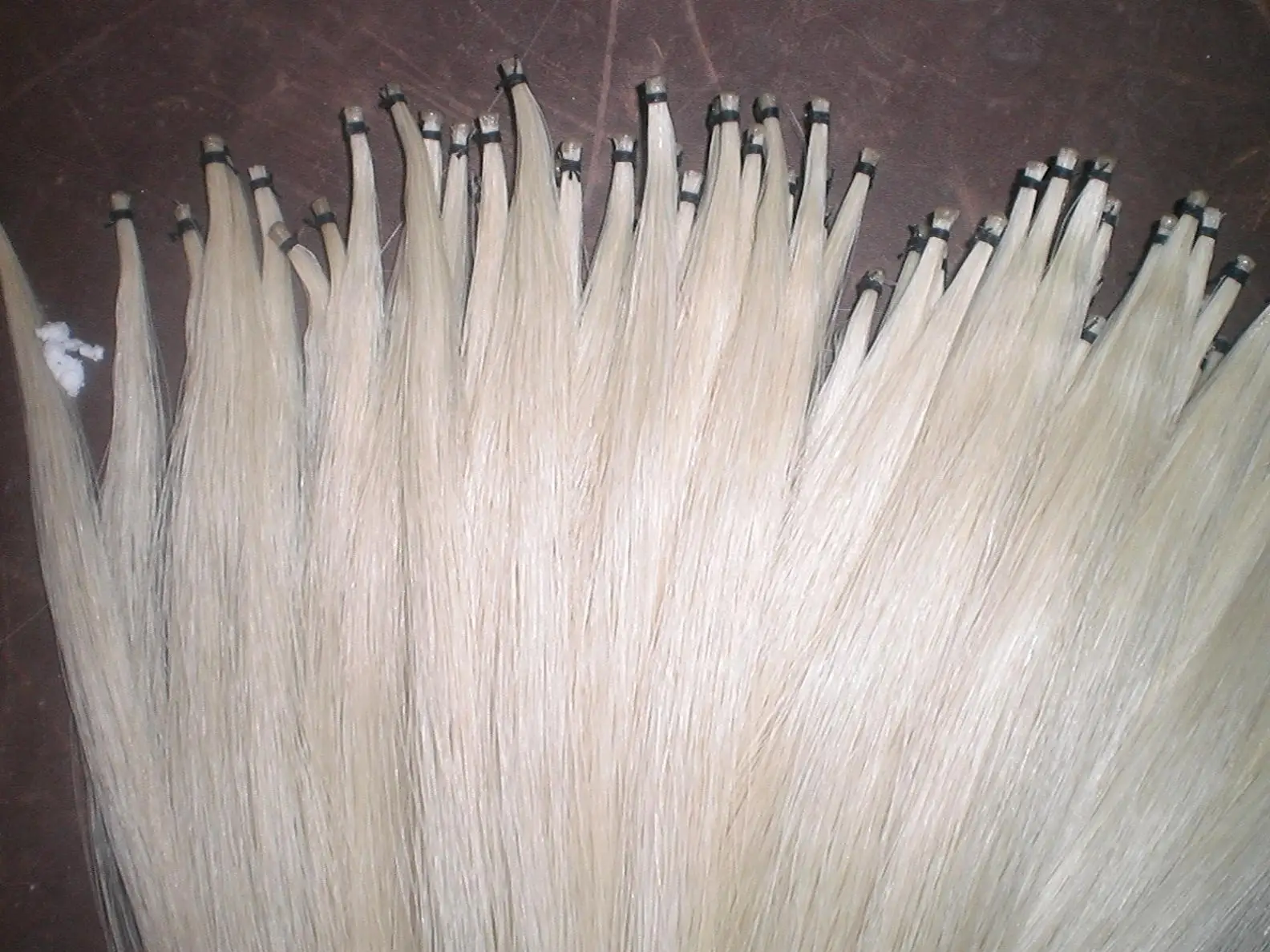 10 Hanks Quality Mongolia Stallion Bow hair 6gram/hank in 32 inches