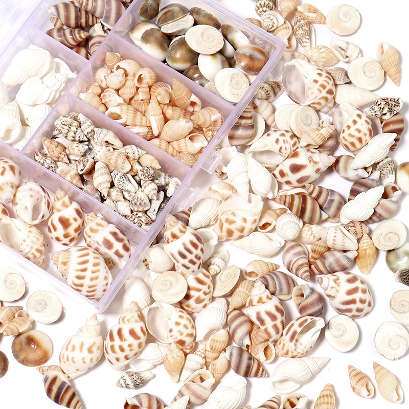 1Box Multiple Styles Natural No Hole Small Cowrie Conch Beads Sea Snail Kit For DIY Jewelry Decoration Props Accessories Set