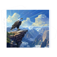 iFlight Afterburner Sport O4 Frame Kit 210mm Wheelbase with 3mm Arm Thickness For RC FPV Freestyle LongRange Racing Drone