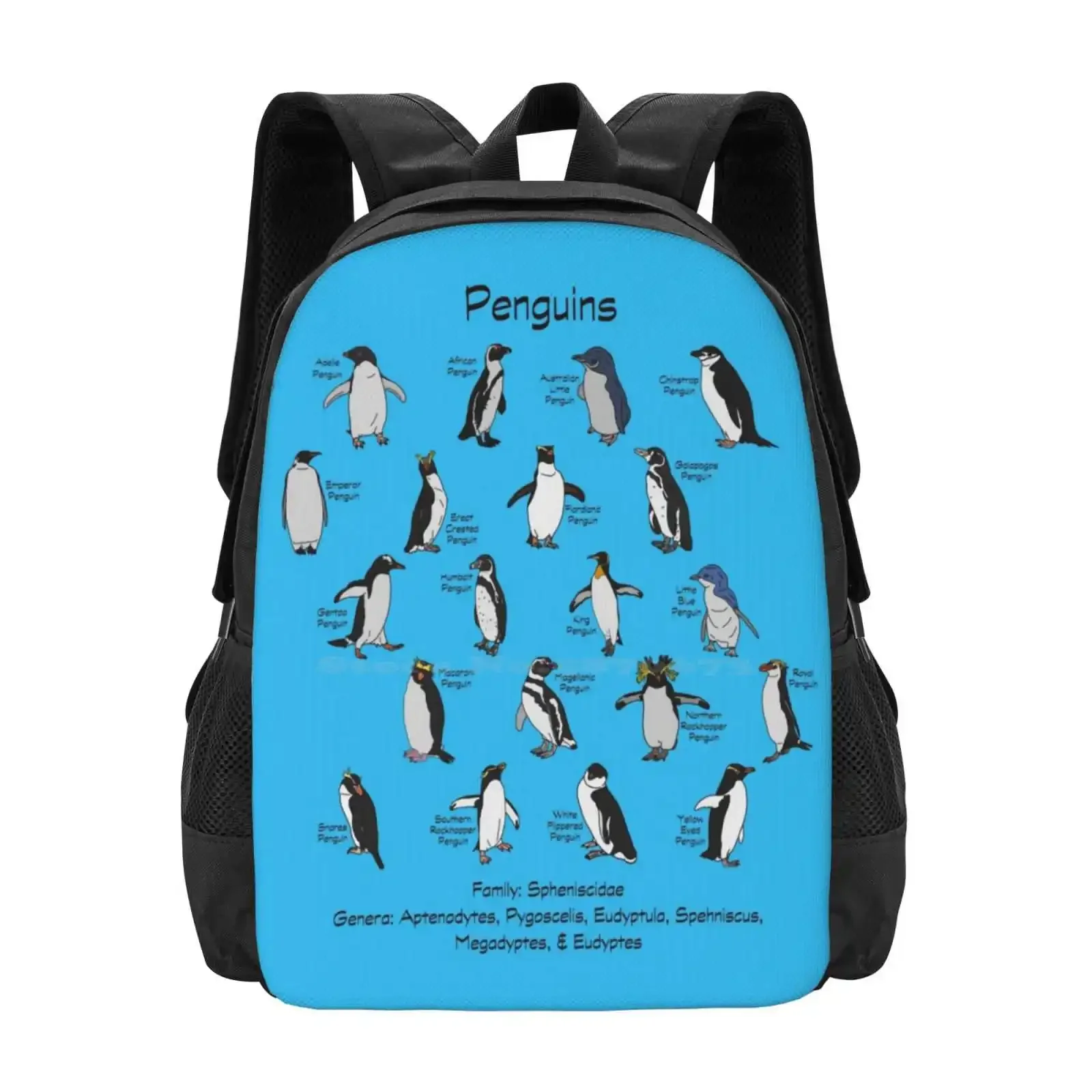 

Пингвины, новые поступления, сумки унисекс, студенческая сумка, рюкзак Adélie, пингвин, африканский пингвин, австралийский маленький пингвин, ремешок