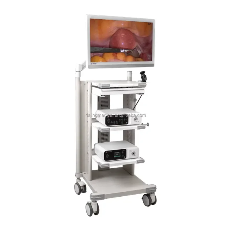 2026 New, High Quality, 1080P Full HD ENT Camera System Compatible with Sinuscope and Laryngoscope for Medical
