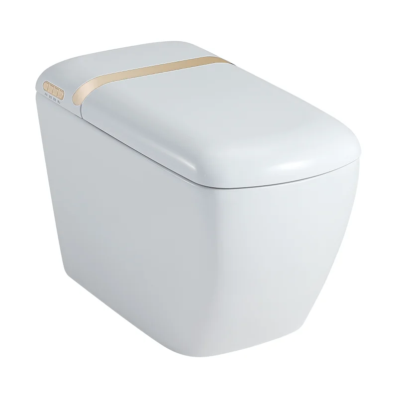 Remote Control Automatic Sensor Flushing Electric One Piece Tankless Japanese Smart Toilet