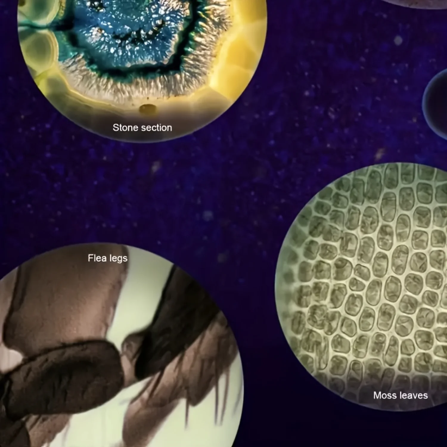 New Childrens Microscope, Portable Mini Microscope Toy, Handheld Science Microscope, Can Be Connected To Mobile Phone And Can B