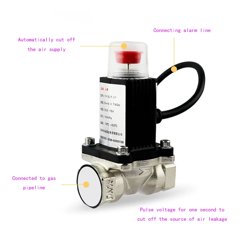 Rilevatore di perdite di gas naturale domestico Metano GPL Tester di perdite domestiche con elettrovalvola DN20 Sistema di sicurezza con spegnimento automatico