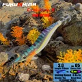 3.0 05RAYAL BLUE