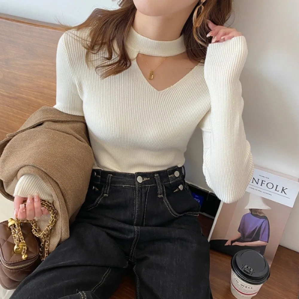 Hollow Out Collar Knit Base Layer Top Slim Fit Knit Hollow Out Inner Wear Elegant Style Long Sleeve Slim Fit Sweater Fall Winter