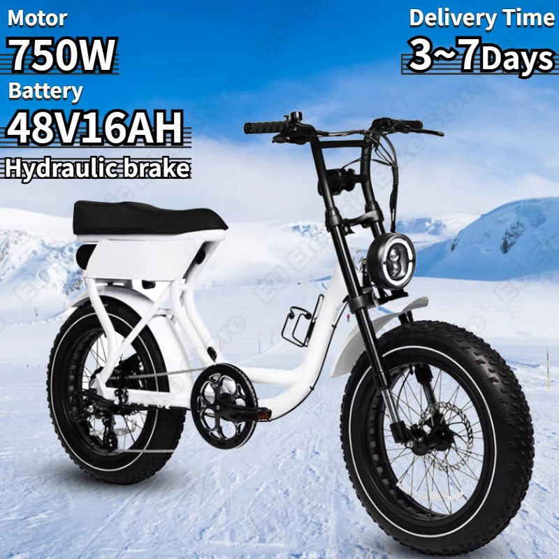 Electric Bicycle 750W Brushless Motor 48V16AH Lithium Battery Aldult 20*4.0 Fat Tire Snow E-bike Aluminum Alloy Electric Bike