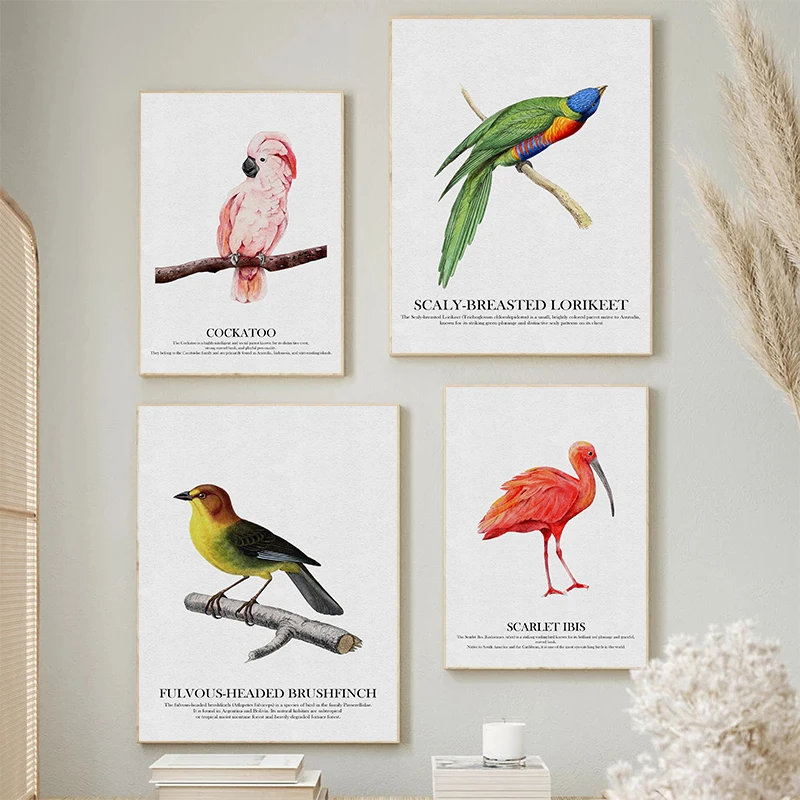 Bright Colors Birds Subject Hummingbird Birds Blue Macaw Posters Woodland Wildlife Canvas Paintings Wall Art Pictures Home Decor