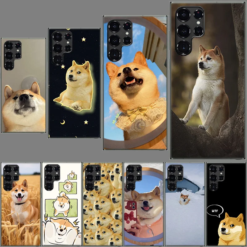 Animal Shiba Inu Do…