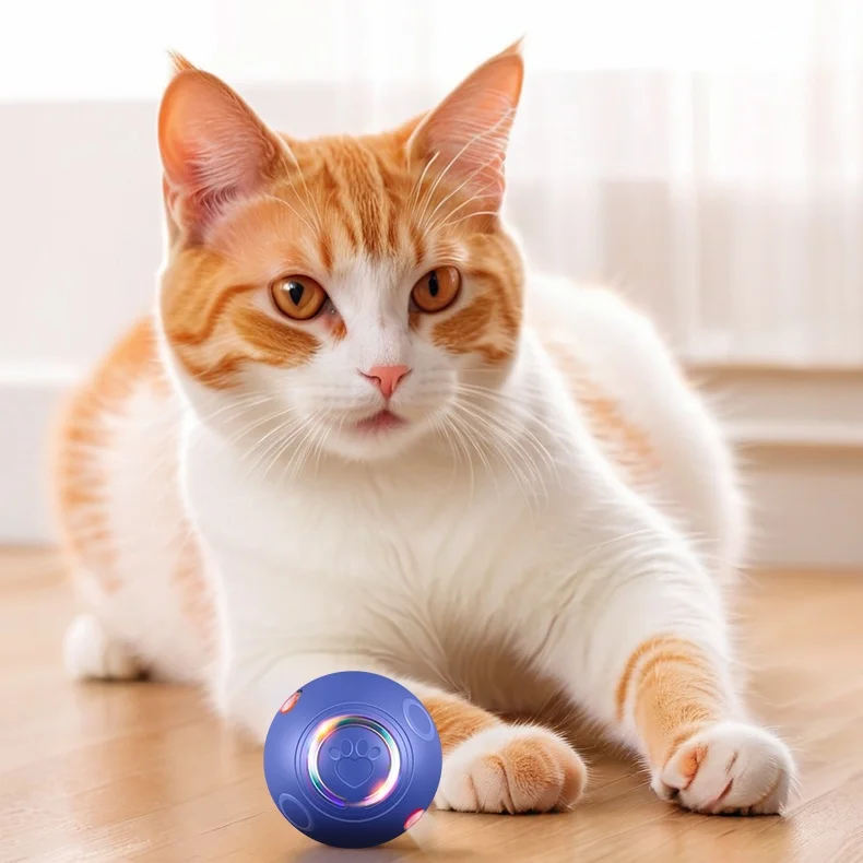 

New Arrival Rechargeable Automatic Luminous Rolling Ball Puppy Cat Toy Funny Interactive Silicone Box Packed for Small Pets