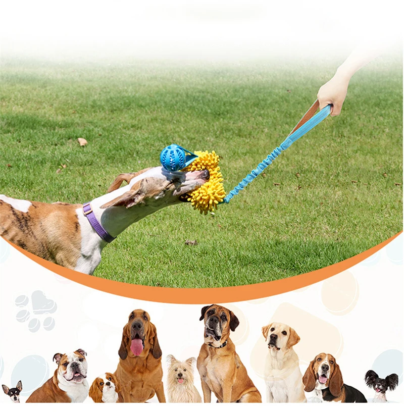 Interactive Dog Tug Toy Elastic Pull Rope Ball Teething Toys for Aggressive Chewers,Large Dogs Chew Toys Tug of War with Adult