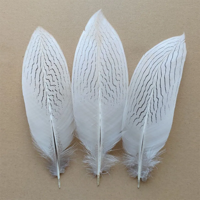 

Wedding Accessories! 10pcs/Lot 8-10" 20-25CM Silver Pheasant Tail Feathers Craft/Pad/Costume/Hats,Plumas Decoracion