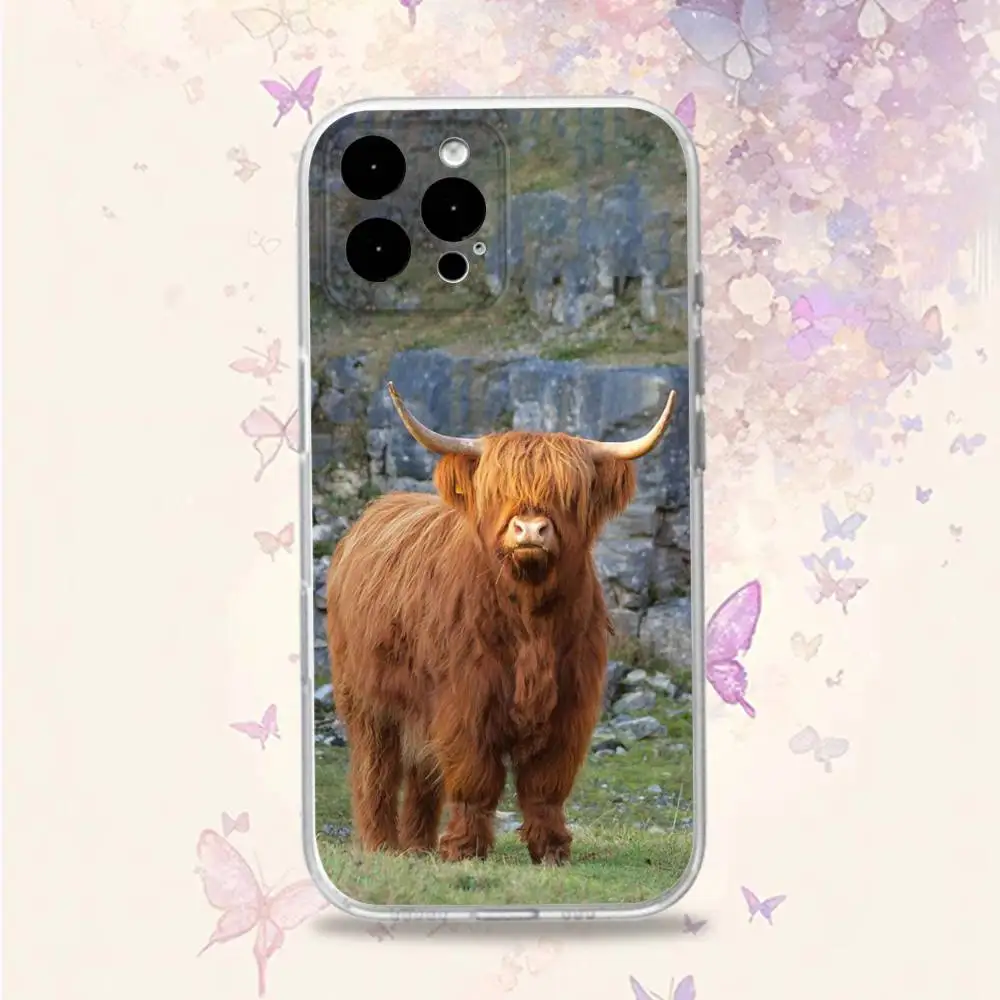 C-Cow FurryS H-HighlandS Handyhülle für iPhone 11,12,15,16,17,13,14,Pro,Max,Plus,E,Mini,Air,SE4 Weiche TPU-Rückseite mit transparenter Rückseite