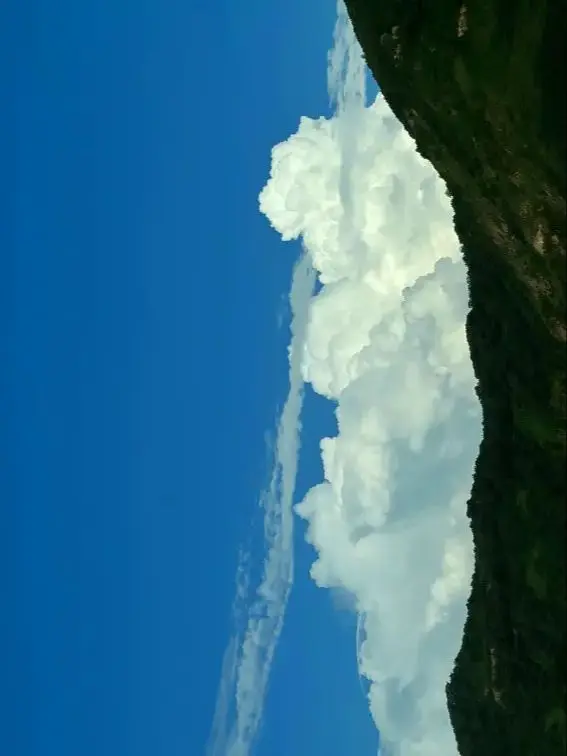 

12V 9.8Ah Replacement Battery For Milwaukee M12 XC 48-11-2401, 48-11-2402, 48-11-2420, 48-11-2411,48-11-2412,M12B2,M12B4